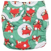 Fancypants All-In-One Cloth Nappy - Foxy